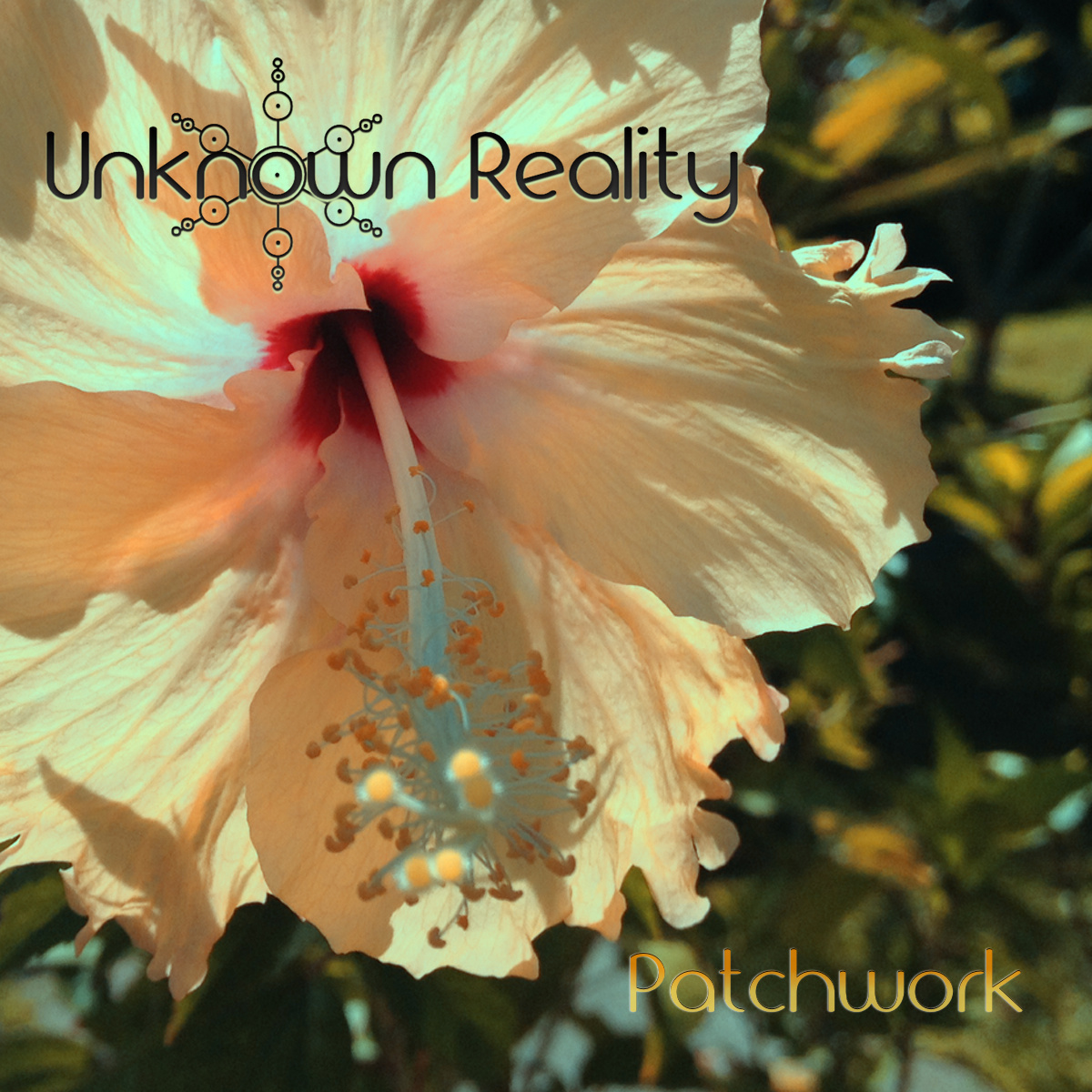 Unknown Reality - Calm Down